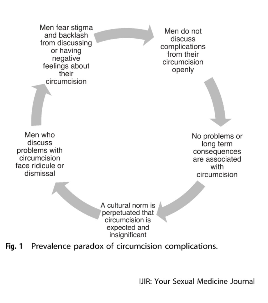 Circular flowchart demonstrating why men do not speak out about circumcision